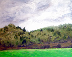 Bald Hill, 16 x 20 inches, SOLD