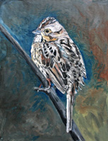 Lincoln's Sparrow, 18 x 14 inches, $200.00